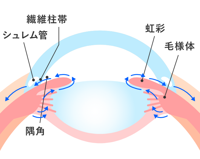 房水と眼圧について