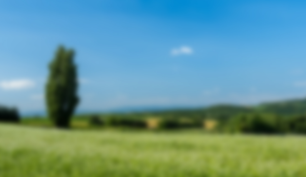 白内障 正常 見え方の違い